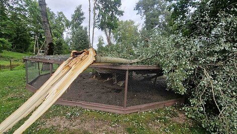 Audros nuniokotas Taujėnų dvaro parkas