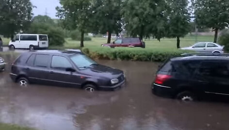 Liūtis &Scaron;iauliuose