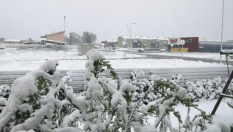 Sniegas gegužės mėnesį