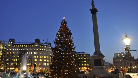 Taip Trafalgaro aikštėje stovinti iš Oslo atvežta Kalėdų eglutė atrodė 2010 metais