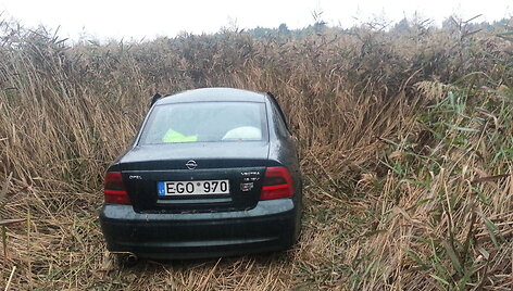 Automobilis &bdquo;Opel&ldquo; partrenkė briedį