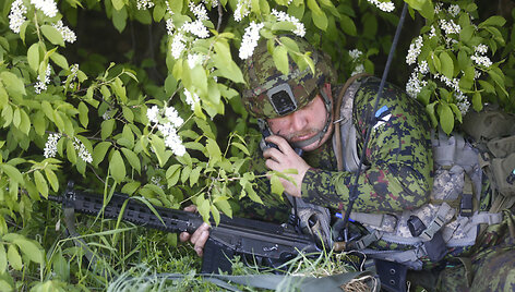NATO karinės pratybos &bdquo;Siil&ldquo; Estijoje