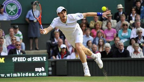 Andy Murray'us