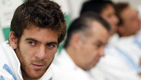 Junas Martinas del Potro