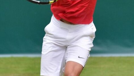 Rafaelis Nadalis