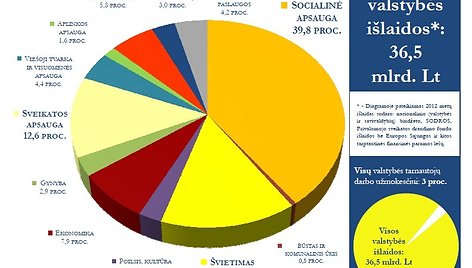 2012 metų biudžeto projektas