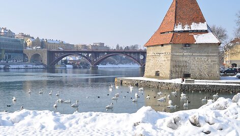 Slovėnija