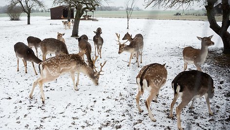 „Sherolle“ vila Lašinių kaime Kaišiadorių rajone