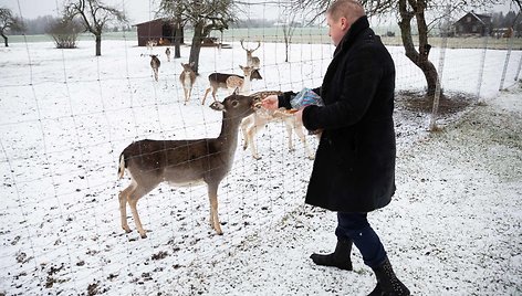 „Sherolle“ vila Lašinių kaime Kaišiadorių rajone