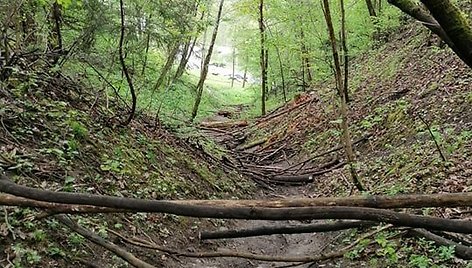 Pavilnių ir Verkių regioninių parkų darbuotojai užtveria takus kalnų dviratininkams.