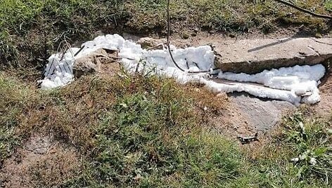 Užpurk&scaron;tos angos &scaron;alia Respublikinės &Scaron;iaulių ligoninės, kur gyveno katės