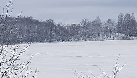 Galuonų ežeras žiemą