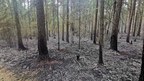 Gaisras Prienų mi&scaron;ke