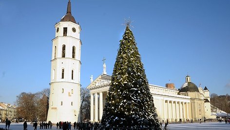 Kalėdų eglė Vilniaus Katedros aikštėje