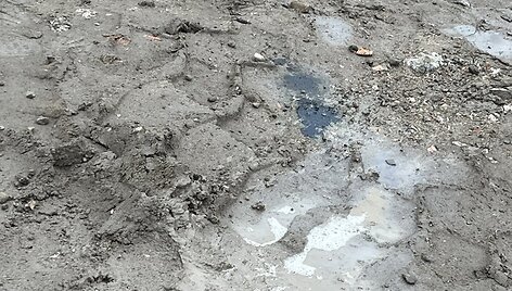 Vaizdai Vilniaus Arimų gatvėje