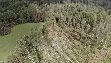 Audros išvartyti medžiai miškuose