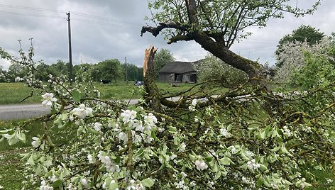  Vilkų kampo kaimas po oro baliono nelaimės