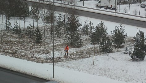 Šienauti žolę galima ir sausį, nesvarbu, kad sninga