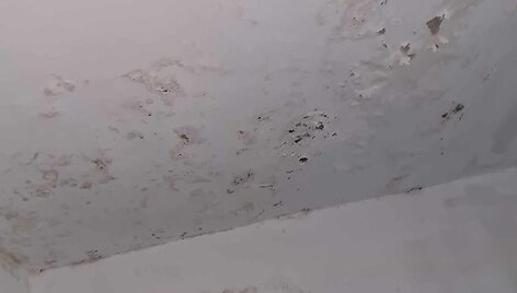 Vaizdai i&scaron; daugiabučio S.Nėries gatvėje, Zarasuose