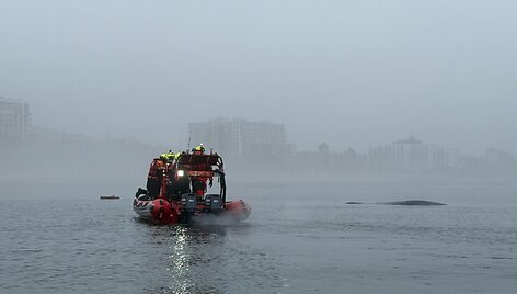 Kuprotojo banginio gelbėjimo akcija Baltijos jūroje