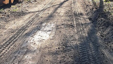 Veisiejų regioniniame parke kelias jau sutvarkytas