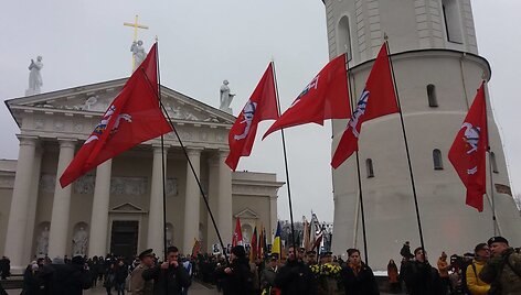 Visuomeninių ir patriotinių organizacijų eitynės