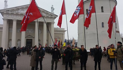 Visuomeninių ir patriotinių organizacijų eitynės