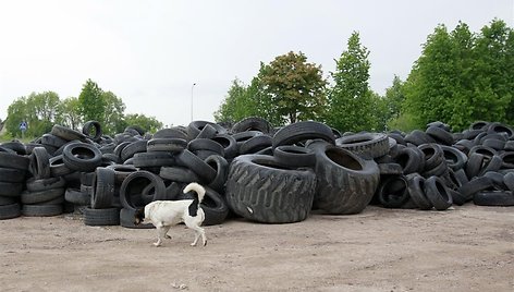 Padangų sąvartynas Domeikavoje