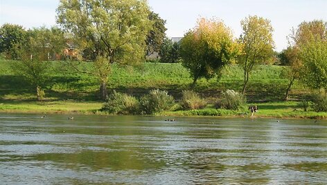 Baidarėmis Nemunu