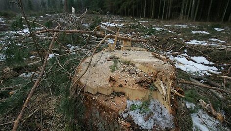 Girulių mi&scaron;kas