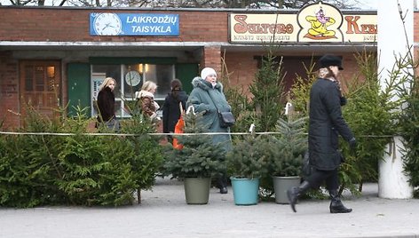 Prekiautojai eglutėmis dar neskuba užimti visų įprastų vietų. 