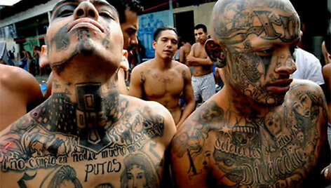 MS-13 gaujos nariai