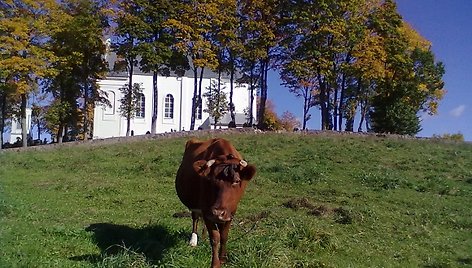 Švč. Mergelės Marijos Nugalėtojos bažnyčia Kazokiškėse