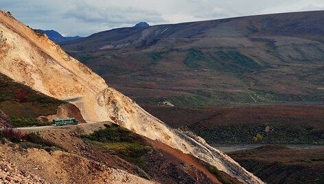 Denali nacionaliniame parke