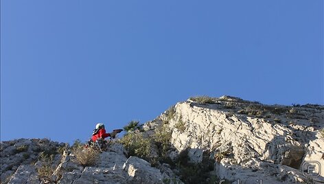 Gedas su perfaratorium