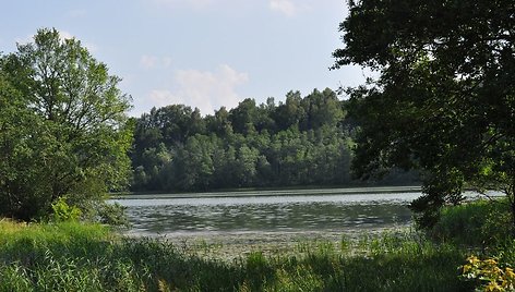 Asvejos ežeras prie Dubingių piliakalnio