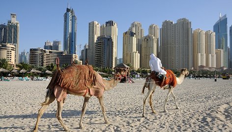 Kupranugariai paplūdimyje Dubajuje