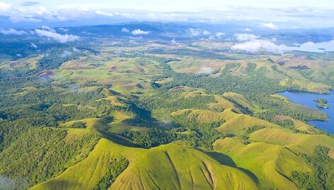 Papua Naujoji Gvinėja