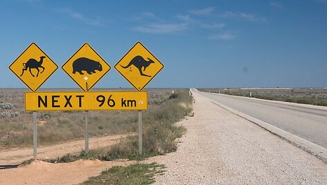 Pietų Australia
