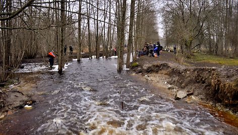 Duobė, kurioje ganosi tonos žuvų