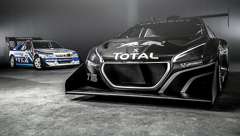 &bdquo;Peugeot 208 T16 Pikes Peak&ldquo;