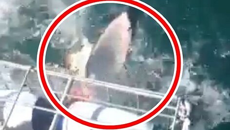 Скриншот с видео