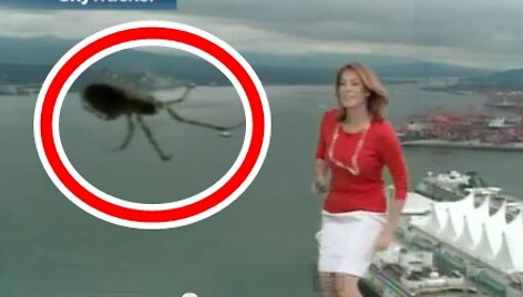 Скриншот с видео 