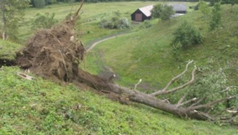 Vėtra nusiaubė Pagramančio regioninį parką