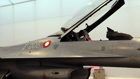 Эстонцы починят &laquo;подбитый&raquo; гусями истребитель НАТО