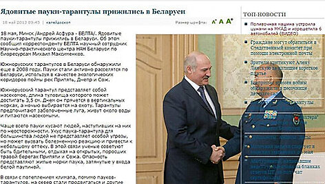 Новость про ядовитых пауков снабдили фотографией Лукашенко