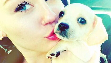 Miley Cyrus ir naujoji augintinė Bean