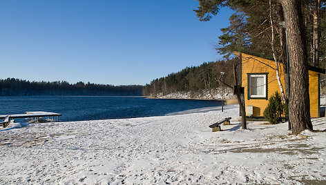 Asvejos pakrantė žiemą