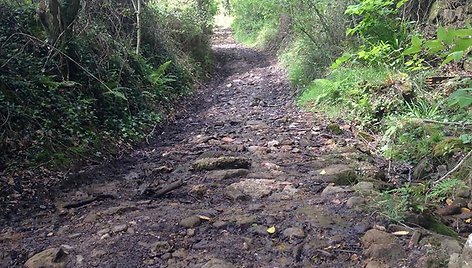 Camino de Santiago (Šv. Jokūbo kelias)