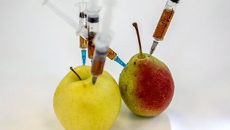 GMO